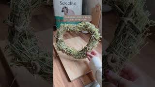 Hay Enrichment Wreath for Rabbits and Guinea Pigs  DIY Valentines Wreath  DIY Enrichment for Pets [upl. by Arahc]