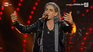 Michele Minneci  Ligabue canta quotQuesta è la mia vitaquot  Tali e Quali 27012024 [upl. by Iormina]