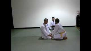 Hakko Denshin Ryu basic waza suwari waza atemi [upl. by Haduhey]