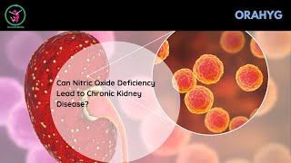 Can Nitric Oxide Deficiency Lead to Chronic Kidney Disease [upl. by Iew]