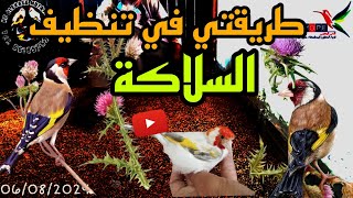 أحسن طريقة لتنظيف السلاكة وتقديم الشاغدوماري للحساسين chardonMarie [upl. by Eudoxia]