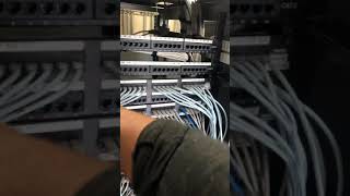 Cat6A patch panels [upl. by Orella]