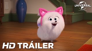 Mascotas Trailer En Español HD [upl. by Issi]