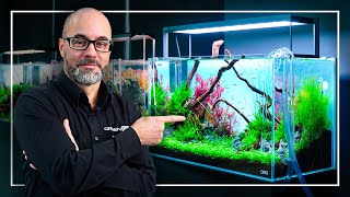 A Perfect Tutorial to Start Your FIRST Planted Aquarium [upl. by Rasmussen]