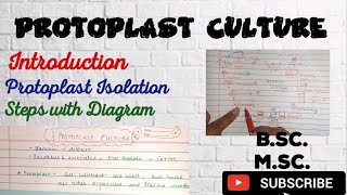 Protoplast culture Procedure Application of Protoplast Culture What is Protoplast Culture [upl. by Ebonee106]