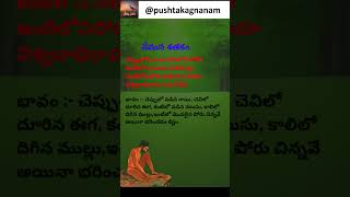 Vemana Shatakam వేమన శతకం Short 133 subscribe pushtakagnanam vemanapoems vemanasatakam vemana [upl. by Mutat]