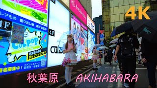 【4k】Tokyo walkAkihabara☔雨の秋葉原を散歩 [upl. by Dnalyag]