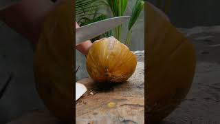 super fantastic coconut slicing [upl. by Enyaj]