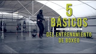 5 Básicos imperdibles para entrenar boxeo [upl. by Anaitak]