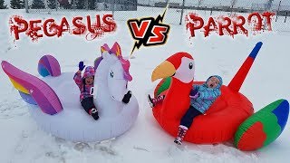 BEST SNOW DAY EVER Sledding on Inflatable Floaties Pegasus vs Parrot Pool Float Toys [upl. by Liryc]