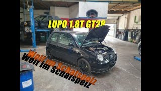 VW Lupo Turbo 18T gt28 ⚠️ 0100 KmH Low Budget projekt Wolf im Schafspelz [upl. by Eeralav483]