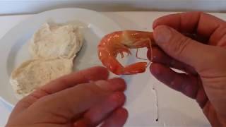 How to Peel Shrimps or Prawns  Simple and Easy Method  Step by Step Tutorial [upl. by Uzzia85]