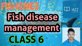 Fish disease managementBACTERIAFUNGUSPROTOZOAVIRUSAFO IN TAMIL IBPS SO TAMIL KNOT DISEASE [upl. by Ebbarta]