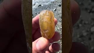 Beautiful carnelian agate from Whidbey Island agate beachcombing rockhounding carnelian pnw [upl. by Virgilia]