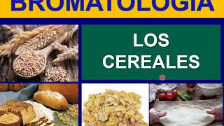 BROMATOLOGIA CEREALES [upl. by Som138]