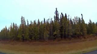 Fall Colors Driving from Rocky Mountain House to Nordegg [upl. by Carmina]