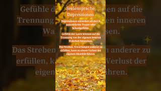 Seelensprache Depressionen [upl. by Ellehctim163]