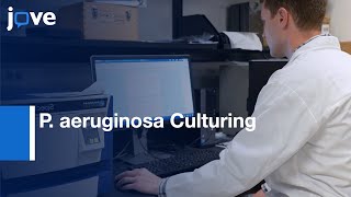 P aeruginosa Culturing and Quantitation of Alginate  Protocol Preview [upl. by Adnahsed]