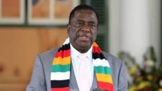 Mnangagwa family exposed AGAIN  Loads of chrome looted from Zimbabwe after the ban of raw mineral [upl. by Cissie141]