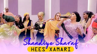 SHAADIYO SHARAF 2023  HEESTII XABIIBI  OFFICIAL VIDEO [upl. by Avie581]