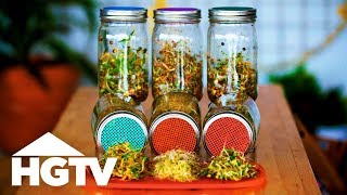 Way to Grow How to Grow Sprouts in Jars  HGTV [upl. by Inglebert209]