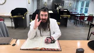 Harav Chaim Ozer Geldzahler Bava Kama 111 [upl. by Divod]