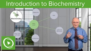 Introduction to Biochemistry – Biochemistry  Lecturio [upl. by Mandel]