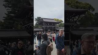 Meiji Jingu Shinto Shrine  Tokyo Japan [upl. by Llemar]