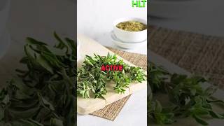 How often do you use oregano healthyeating [upl. by Alfie]