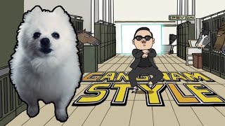 PSY  GANGNAM STYLE em CACHORRÃŠS  NOSTALGIA [upl. by Amsab]