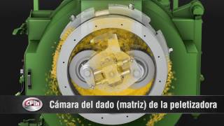 Peletizadora de Alimentos para caballos y afines Pellets Mill [upl. by Clementis]