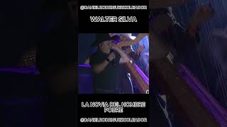 Walter Silva Novia Del Hombre Pobre colombia llanoscolombianos venezuela barinas caballos 1k [upl. by Julian]