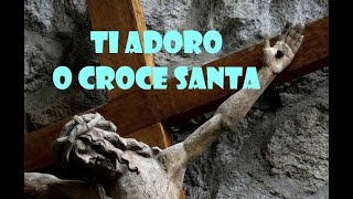 Ti Adoro O Croce Santa [upl. by Nrevel]