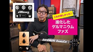 ピックアップシミュレーター内蔵？silktone FUZZ  Fjord MIME  Duesenberg Double cat [upl. by Aaberg]