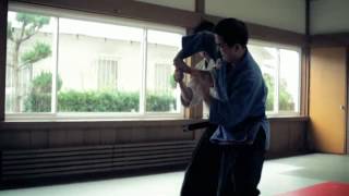 Jujitsu amp Aikido 20 [upl. by Anitnahs]