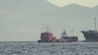 ECOWIND Tanker Moving Through The Bay of Gibraltar 05 March 2024 [upl. by Harutek]