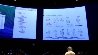 Pentose PhosphateGlycogen I  Kevin Aherns BB 450 Lecture 26 2016 [upl. by Yur]