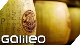 Weg des Parmesan  Galileo  Galileo  ProSieben [upl. by Halford]