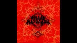 Anaal Nathrakh  quotEschatonquot  Full Album [upl. by Kincaid976]