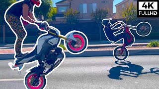 SURRON vs GROM  eBike Joins the Pack  Police Fights Wheelies Fails [upl. by Hyman517]