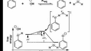 The Proton Transfer Step on a Reaction Coordinate Diagram [upl. by Hilaria]