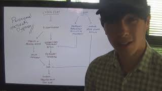 What is the mechanism of paroxysmal nocturnal dyspnoea [upl. by Beitris]