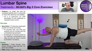 McGills Big 3 Core Exercises 🏋 [upl. by Zaob]