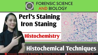 Histochemistry  Perls Reaction of Histochemical Method  Iron level Detection in Tissues [upl. by Ahon]