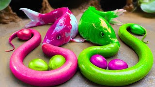 Stop Motion ASMR Rainbow Fishing  Crocodile Big Frogs Petsmart eel in hole Primitive Cooking [upl. by Yragerg146]