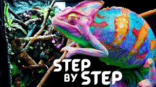 DIY Chameleon Pet Setup  Bioactive Panther Chameleon Setup [upl. by Itsuj]