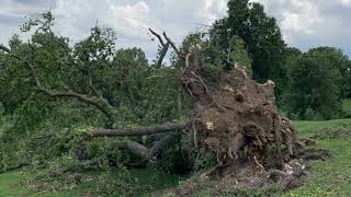 July 2023 Storm Damage  Bellefontaine Cemetery and Arboretum [upl. by Adnolohs194]