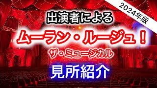 【観劇が100倍面白くなる】出演者による『ムーラン・ルージュ！ザ・ミュージカル』見所紹介！ [upl. by Ahsoik186]