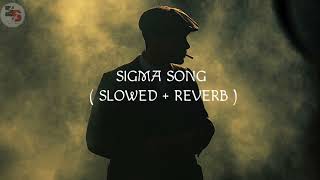 SIGMA RULE Song slowed  Reverb lofi [upl. by Eta]