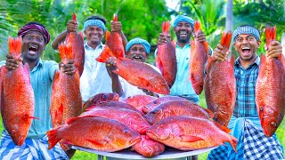 RED SNAPPER FISH  Big Fish Grill Recipe Cooking in Village  Fish Fry in Clay  Ancient Cooking [upl. by Annonyw]